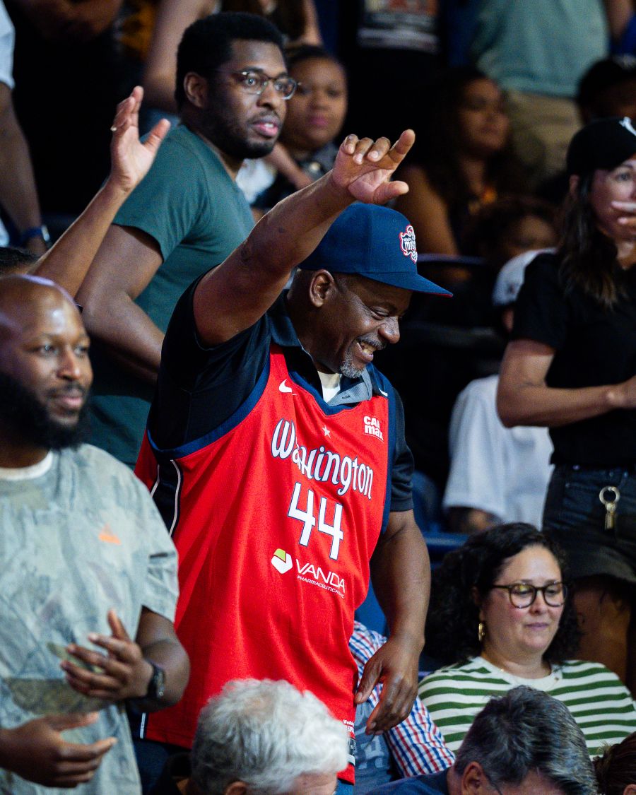 Washington Mystics Fan