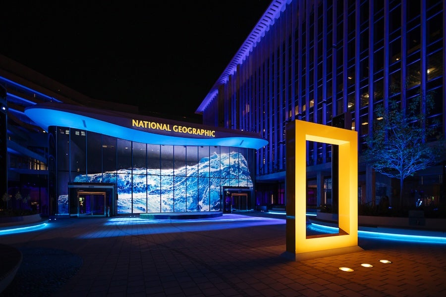 National Geographic museum entrance at night with glowing yellow portal and blue lighting