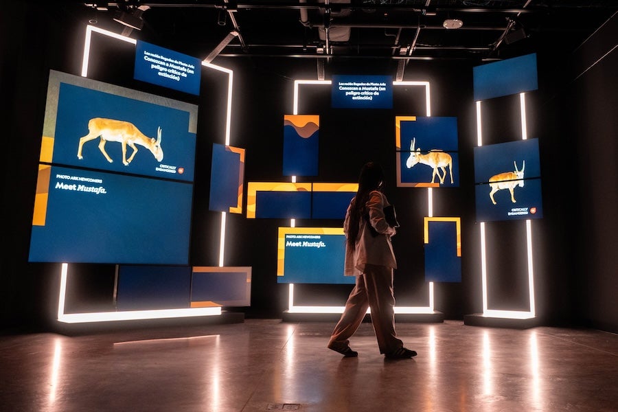 Woman walking through a dark room of glowing screens with animal animations