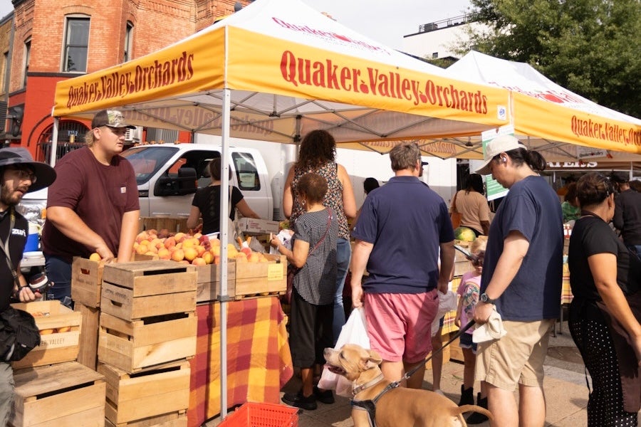 People browsing produce under a striped farmers market tent on a sunny street