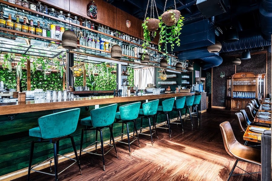 Empty bar with teal stools, hanging plants and sunlit wood floors