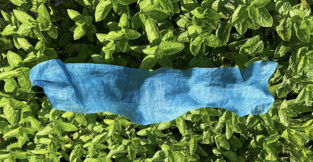 Where to Find the Best Brunch Washington DC