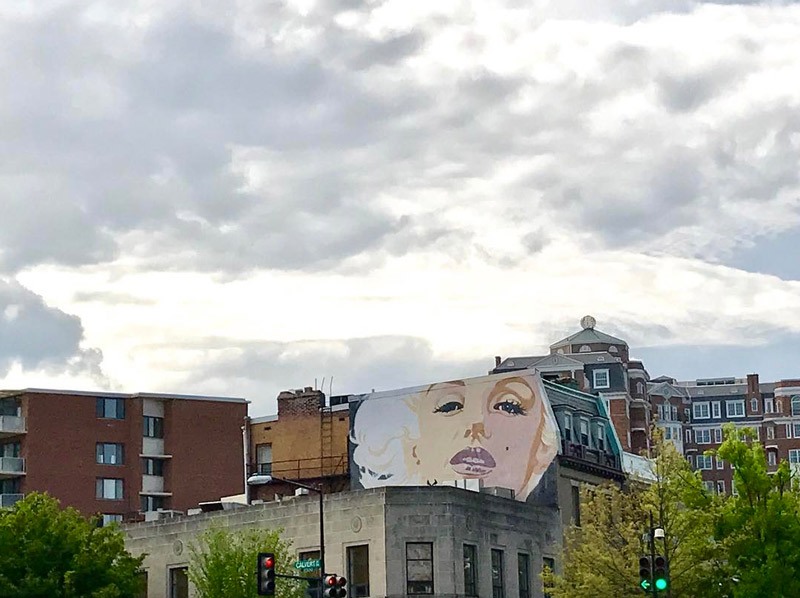 @ali.cat210 - Marilyn Monroe Mural on Connecticut Avenue in Woodley Park - Murals in Washington, DC