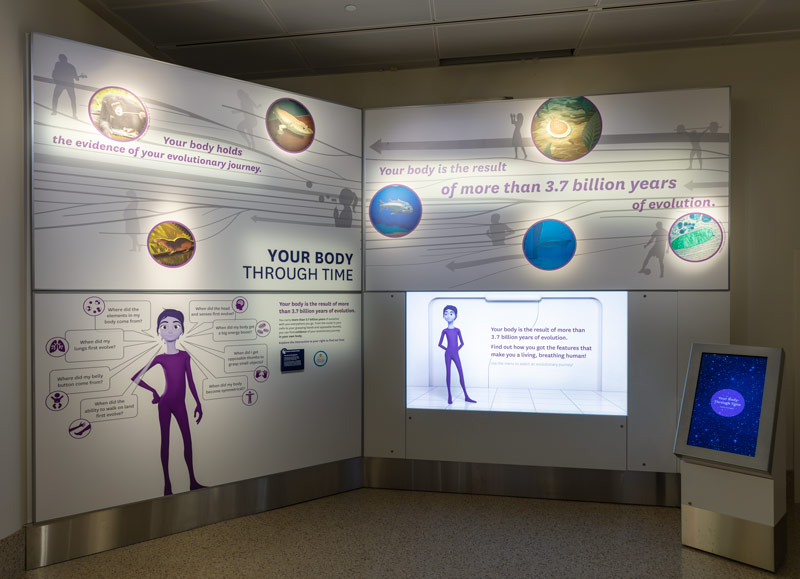 Exhibición interactiva en la exhibición Deep Time del Museo de Historia Natural: cosas gratis para hacer en Washington, DC