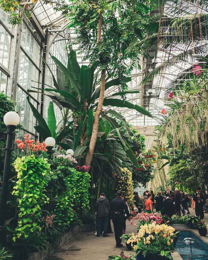 Guide to the United States Botanic Garden in DC ...