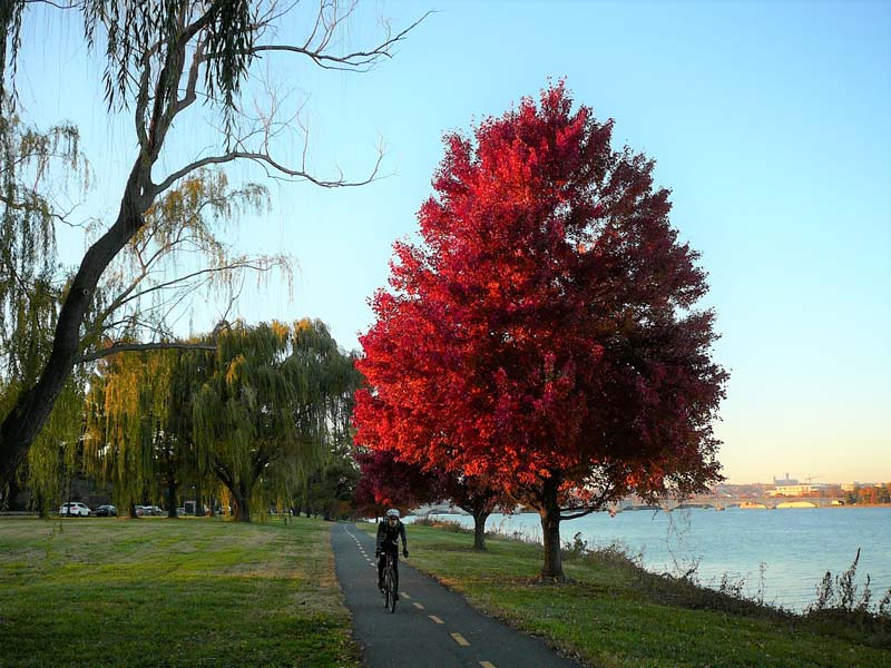 Fall cycling on Mount Vernon Trail along Potomac River - Outdoor waterfront recreation in Washington, DC