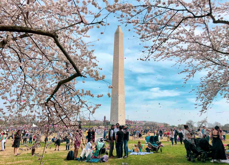 National Cherry Blossom Festival Blossom Kite Festival gratuito e adequado para toda a família no National Mall - eventos imperdíveis em Washington, DC