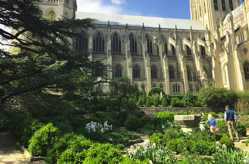 Famiglia nella cattedrale nazionale di Washington nell'Upper NW - Cose da fare a Washington, DC