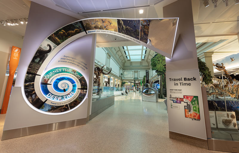 스미스소니언 국립 자연사 박물관의 딥 타임 전시 - 워싱턴 DC의 무료 박물관 전시