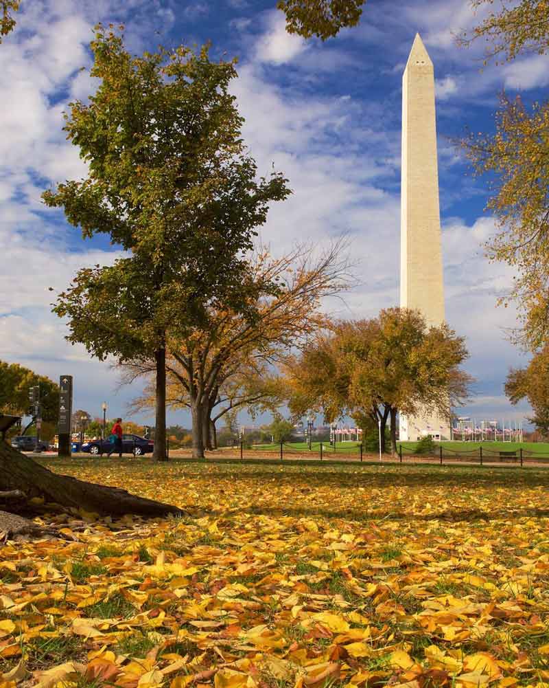 @mattbridgesphotography - Herbstlaub auf dem Gelände des Washington Monument - Beste Herbstlaubfotos in Washington, DC