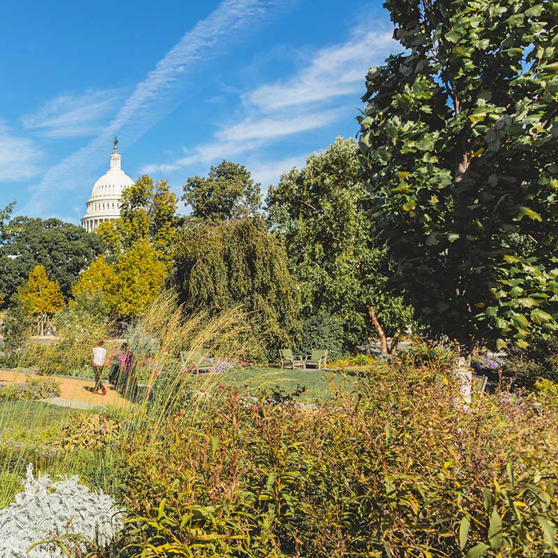Jardim ao ar livre no Jardim Botânico dos Estados Unidos - museu gratuito em Washington, DC
