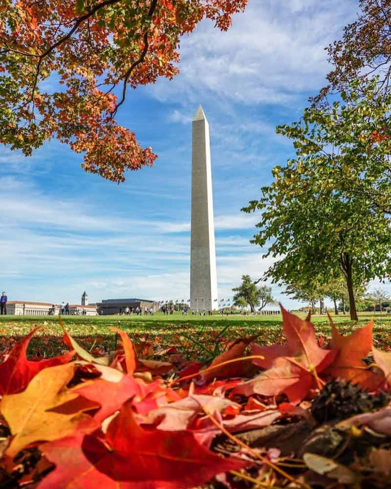 @patrickvburton - Folhagem de outono no terreno do Monumento a Washington - Coisas para fazer neste outono em Washington, DC