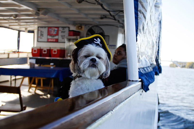 Croisières en bateau acceptant les chiens de la Potomac Riverboat Company à Alexandrie - Expériences de navigation et transport dans et autour de Washington, DC