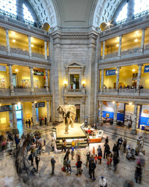 @ ray.payys - Museo Nacional Smithsonian de Historia Natural en el National Mall - Museo gratuito en Washington, DC