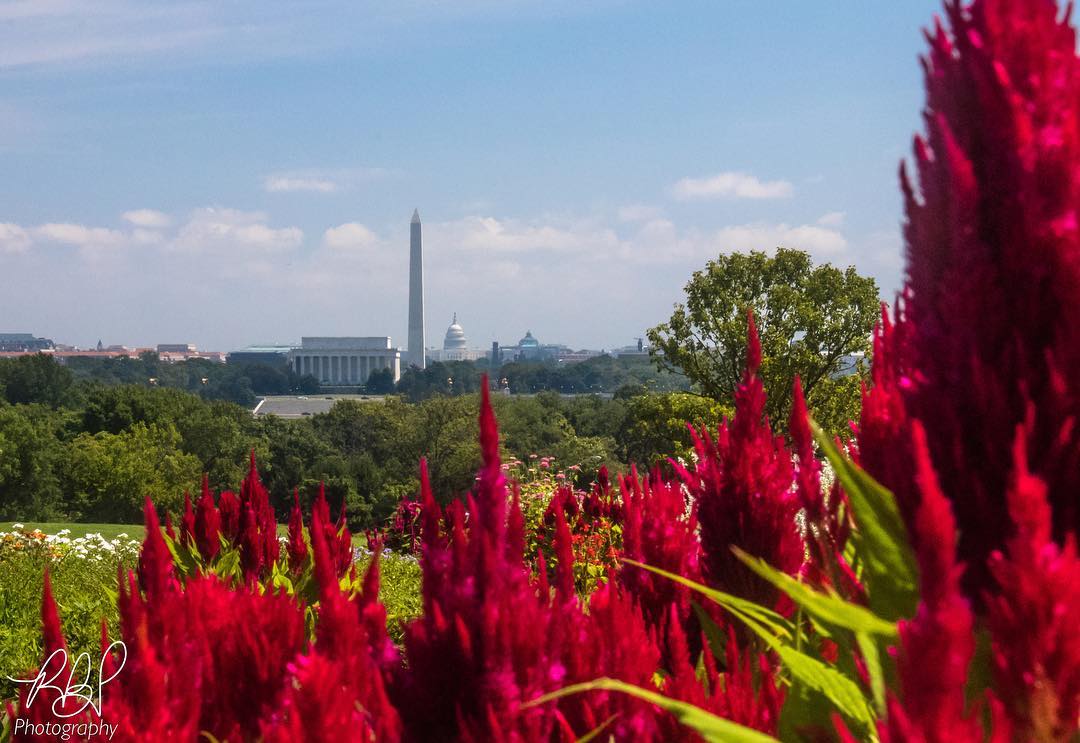 @rbp_photography_usa - View of Washington, DC from the Netherlands Carillon - Free spring activity near Washington, DC