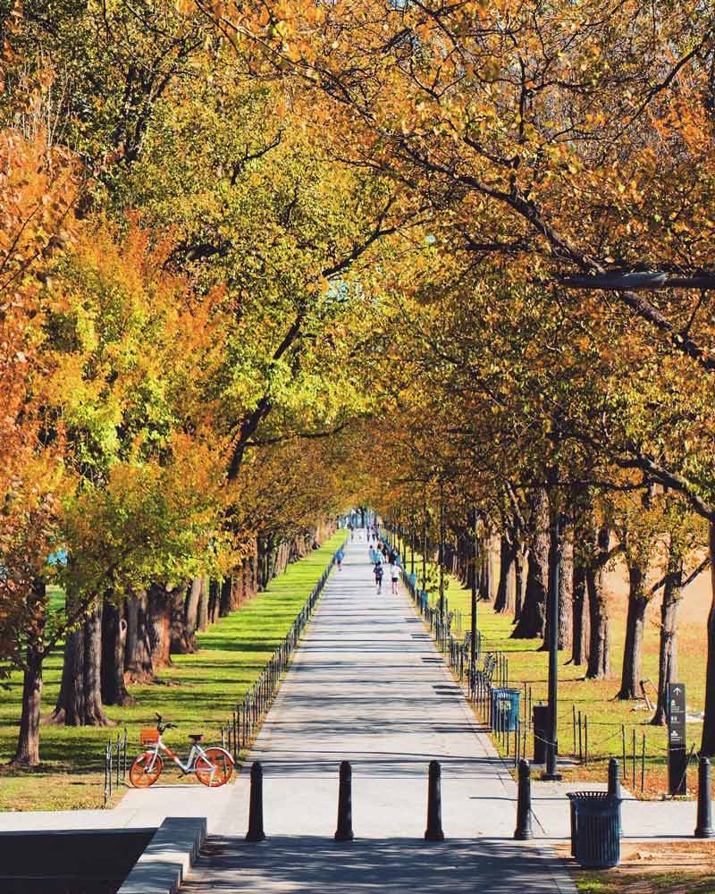 @sandymajorphotography - Herbstlaub entlang des Lincoln Memorial Reflecting Pool - Wo man das beste Herbstlaub in Washington, DC, sehen kann