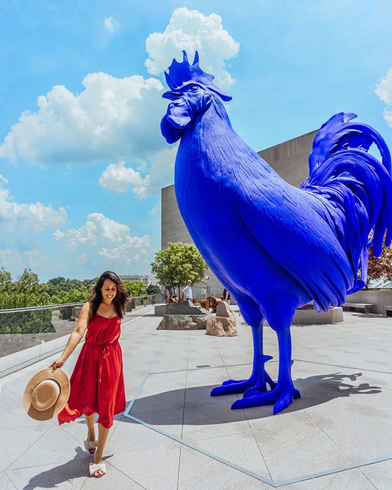 @sevendayweekender - Visitatore davanti alla statua di Hahn/Cock alla National Gallery of Art East Building a Washington, DC