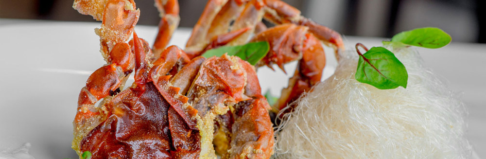 Soft Shell Crab im Teddy and The Bully Bar – Restaurants in Washington, DC