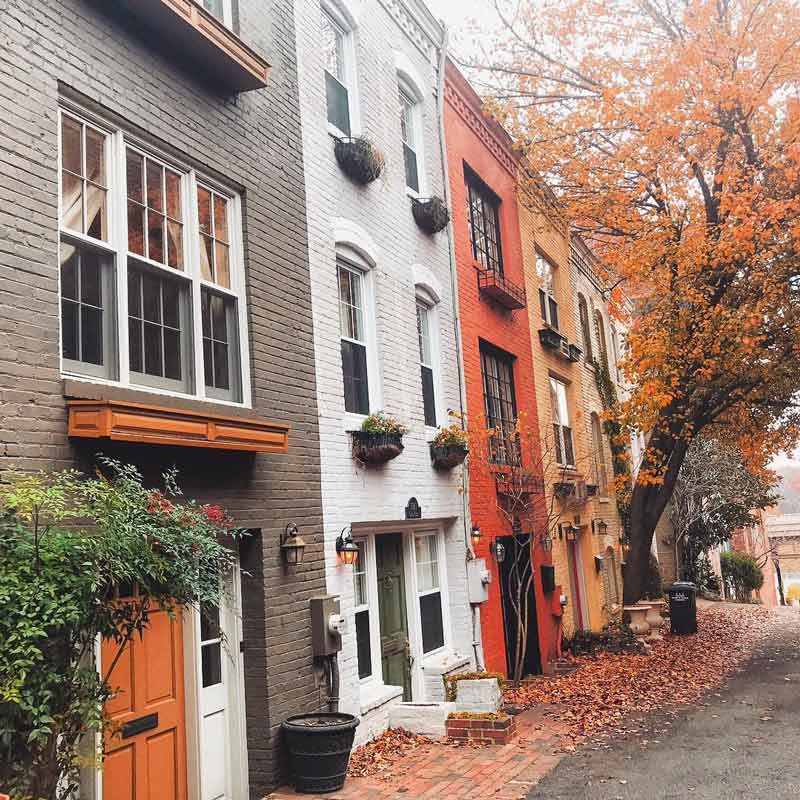 @susubeso - Herbstlaub in Washington, DCs historischem Viertel Georgetown