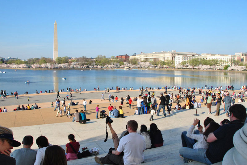 Persone che scattano foto di alberi di ciliegio dai gradini del Jefferson Memorial - Primavera a Washington, DC