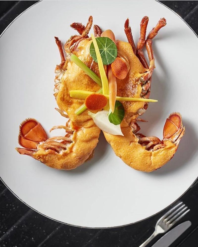 @thejeffersondc - Lobster gratin at Michelin-starred Plume in the luxury Jefferson Hotel in Washington, DC