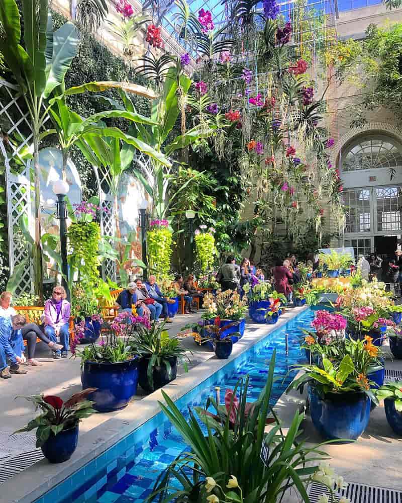 @tylerkcalder - Atrio nel giardino botanico degli Stati Uniti - Attrazione gratuita sul National Mall di Washington, DC