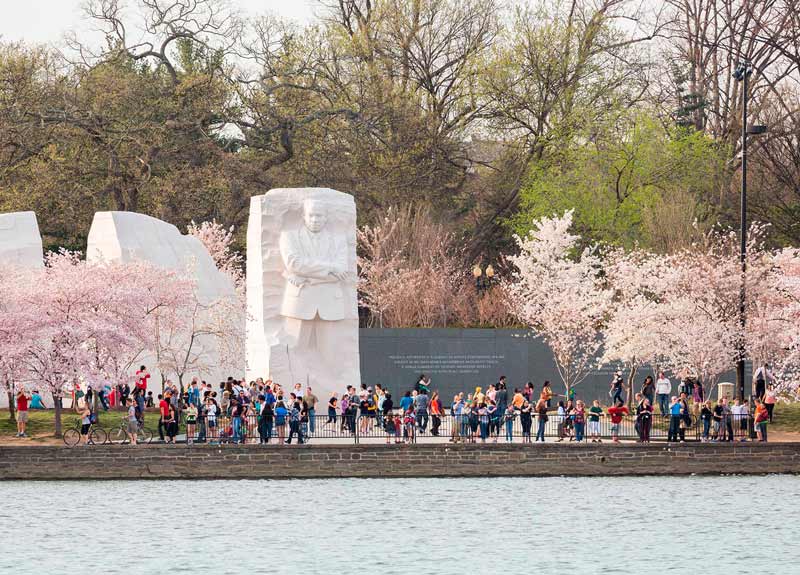 Blick auf das Martin Luther King, Jr. Memorial während der Kirschblütenzeit - Denkmäler auf der National Mall in Washington, DC