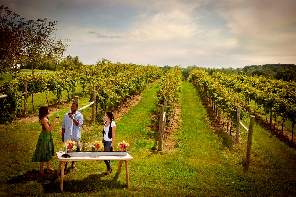 Visitez le comté de Loudon, en Virginie