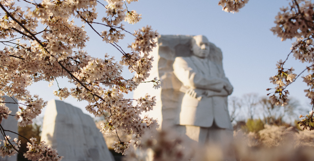 MLK 圖像