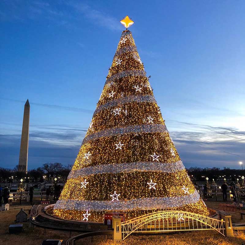 @wwwchris - Visitors at the National Christmas Tree on the National Mall - Free winter things to do in Washington, DC