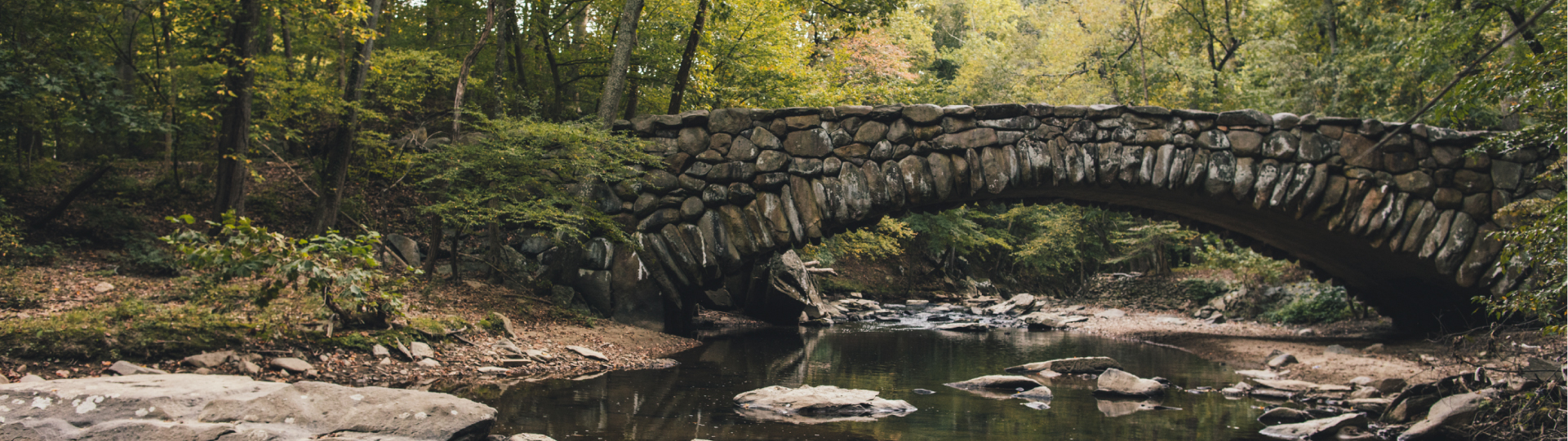 Rock Creek Park Bild