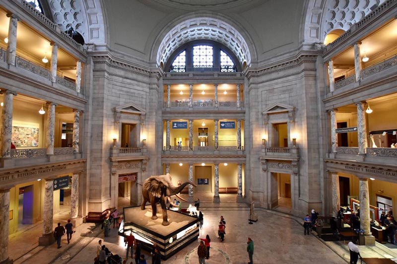 @michellefortephotography - Atrium im Smithsonian National Museum of Natural History in der National Mall - Free Museum in Washington, DC