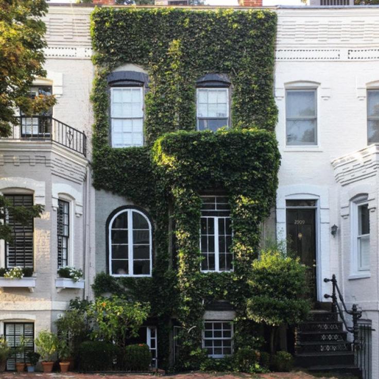 Georgetown Apartment Rentals Dc