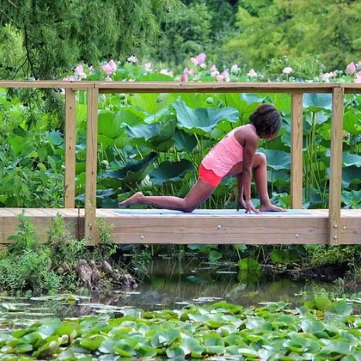 @nadiacherelle - 早上在凱尼爾沃思水上花園鍛煉 - 華盛頓特區的國家公園