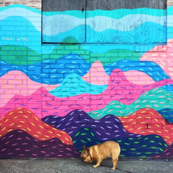 @the_mipster - Mural in Washington, DC's Petworth Neighborhood