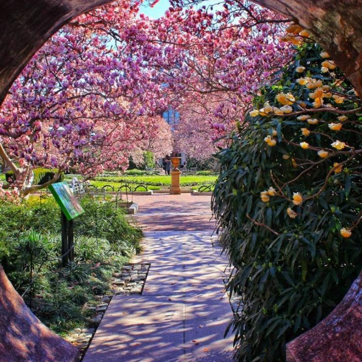 The Best Things To Do This Spring In DC Washington DC The Best Things To Do This Spring In DC Washington DC