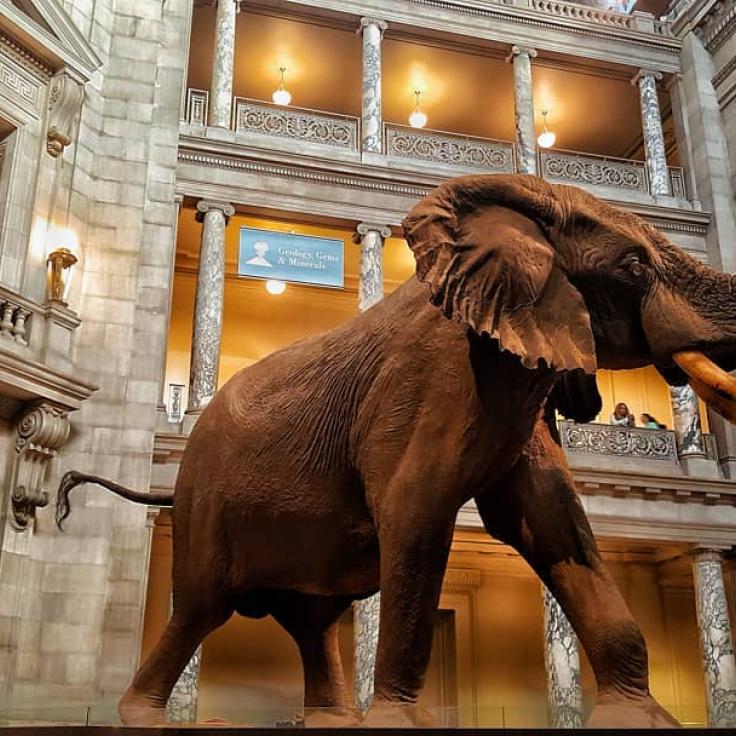 Museo Nacional de Historia Natural del Smithsonian