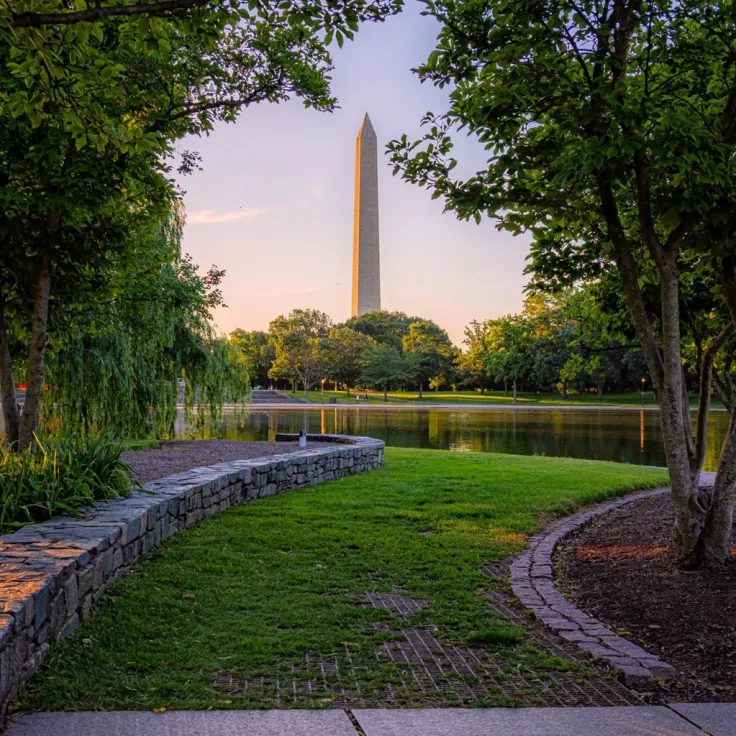 Photo of Washington Monument framed by trees along a curving path at sunset