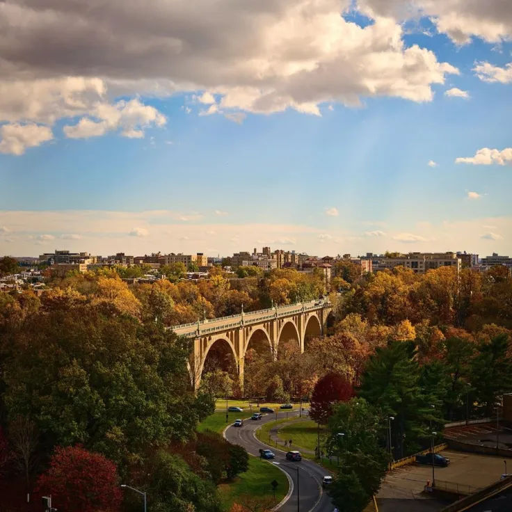 Photo of arched bridge over tree-lined road in autumn under sunbeams and clouds