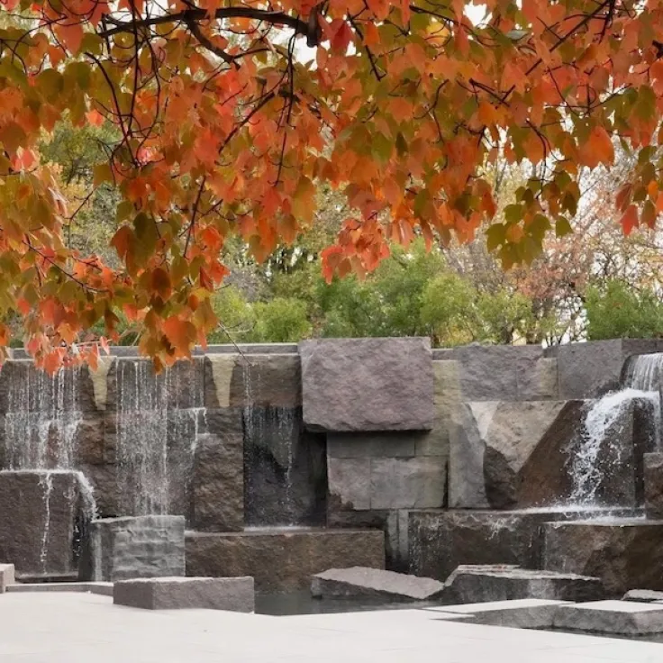 Photo of stone blocks under orange autumn leaves at a quiet memorial plaza