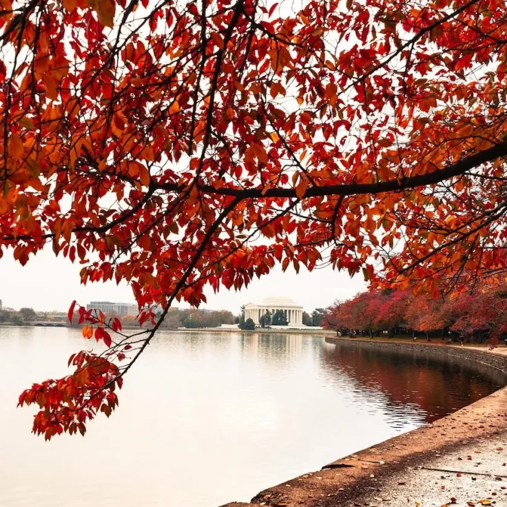 Red autumn leaves over a calm river along a curved waterfront path