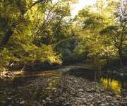 Rock Creek Park DC