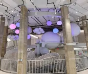 National Children's Museum