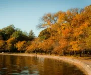 Tidal Basin Fall