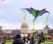 A vibrant kite flies in the foreground with the U.S. Capitol building in the background during the National Cherry Blossom Festival.