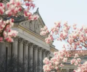 National Archives Through the Cherry Blossoms 