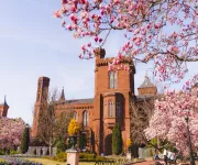 Picture of Enid Haupt Garden 