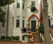 A row of town homes in Georgetown with Halloween decorations, including two large spiders and pumpkins. 