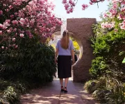 A woman walks through blooming pink magnolia trees toward a carved stone moon gate in the Enid A. Haupt Garden.