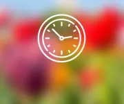 A simple clock icon represents timed entry information.
